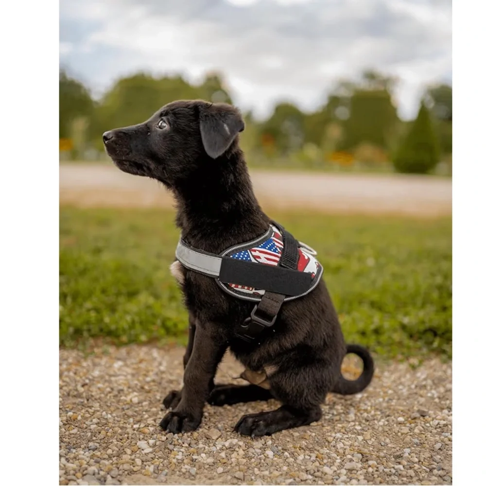 New No Pull Blue Star Dog Harness with Red Trim adjustable reflective medium - Picture 8 of 14